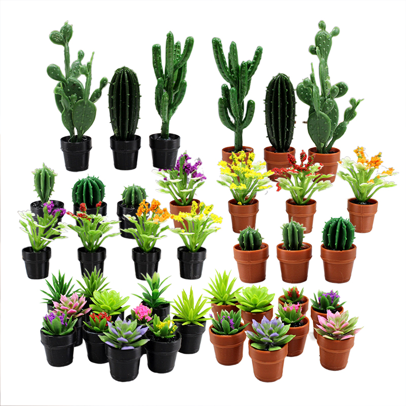 8 Buah Tanaman Pot Miniatur Pl - Echeveria Succulent ulasan dan harga