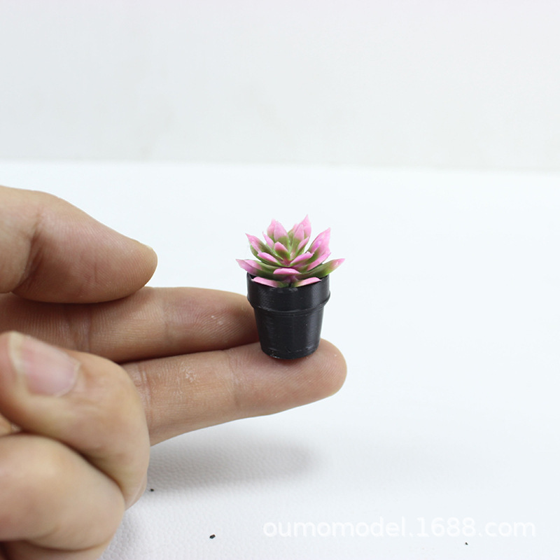 Tanaman Simulasi Mini Model Bu - Echeveria Succulent ulasan dan harga